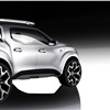 Renault Alaskan Concept, 2015