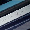 Bugatti Veyron 'Jean-Pierre Wimille' (2013) - Door Sill Plate