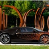 Bugatti Veyron Grand Sport Venet Art Car (2012)