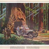 1970-04: The Road Through a Tree (1909 Stearns Toy Tonneau) - Illustrated by Tran Mawicke