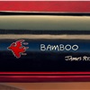 Rinspeed BamBoo, 2011