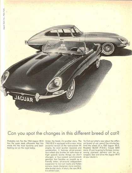 Jaguar XK-E Ad, 1965