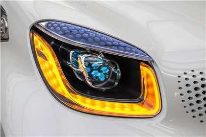 Smart Fourjoy, 2013