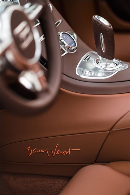 Bugatti Veyron Grand Sport Venet Art Car (2012)
