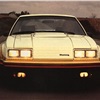 Ford Mustang IMSA, 1979