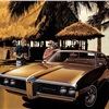 1969 Pontiac LeMans Hardtop Coupe - 'Puerto Vallarta': Art Fitzpatrick and Van Kaufman