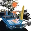 1971 Pontiac LeMans T-37 - 'Acapulco Bay': Art Fitzpatrick and Van Kaufman