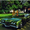 1971 Pontiac Safari - 'Greenery': Art Fitzpatrick and Van Kaufman