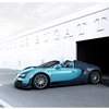 Bugatti Veyron 'Jean-Pierre Wimille' (2013)