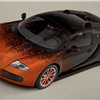 Bugatti Veyron Grand Sport Venet Art Car (2012)