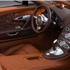 Bugatti Veyron Grand Sport Venet Art Car (2012)