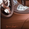 Bugatti Veyron Grand Sport Venet Art Car (2012)