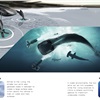 LA Design Challenge (2013): BMW S.E.E.D. Concept
