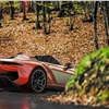 Rezvani Beast (2014): Карбоновый родстер на базе Ariel Atom