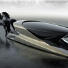 Camal VIVA Concept (2017)