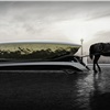 Camal VIVA Concept (2017)