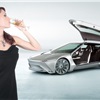 Icona Fuselage Concept (2011)