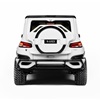 Ares X-Raid (2017): G-Class With A Bespoke Composite Body