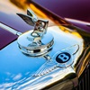 Bentley R Type (1953) – Photo: Jill Reger