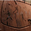 Cave paintings