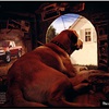 Nissan Frontier - Dogs, 1998