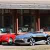 Fiat Barchetta (Bertone), 2007
