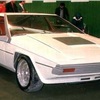 Jaguar Ascot - Turin Motor Show 1977