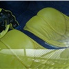 Colani Yellow Egg (Colani), 2006