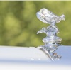 Rolls-Royce Silver Wraith Special Saloon (Vignale), 1954