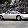 Ferrari 365 P Berlinetta Speciale (Pininfarina), 1966 - Photo: Brian Henniker / Gooding & Company