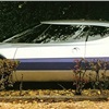 NSU Trapeze (Bertone), 1973