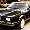 Felber Pasha Coupe, 1980
