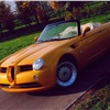 Cardi Body II, 2003