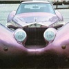 Colani L'Aiglon – Pink Coupe