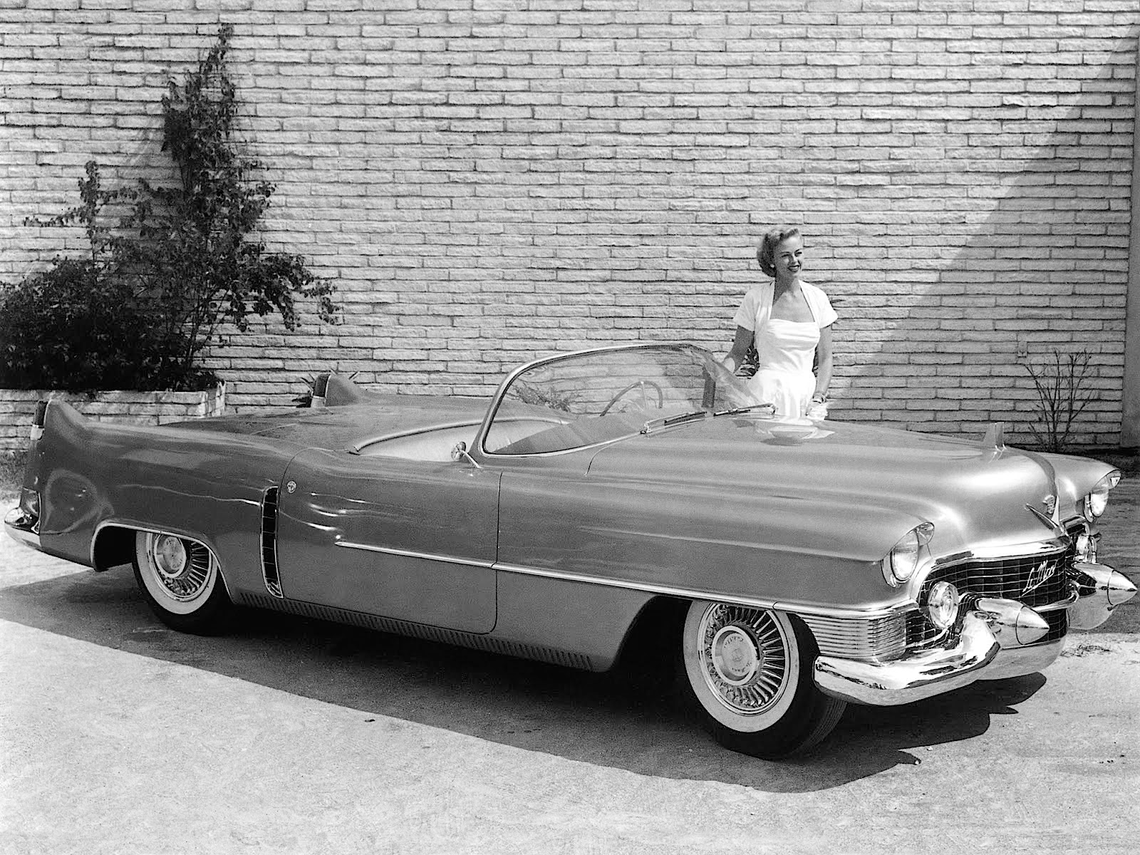 Cadillac Le Mans, 1953