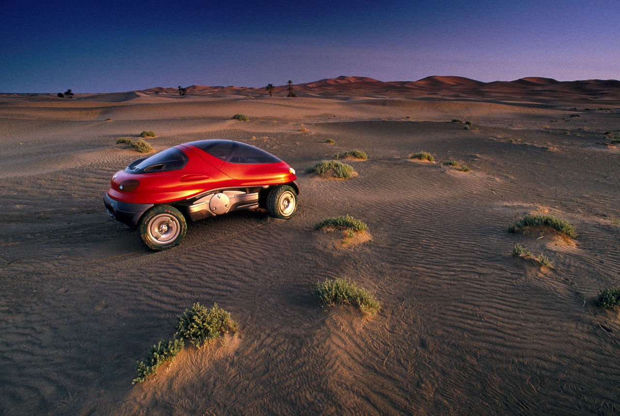 Renault Racoon, 1993