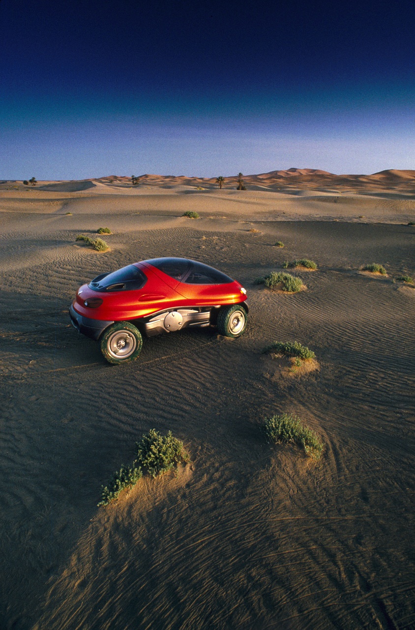 Renault Racoon, 1993