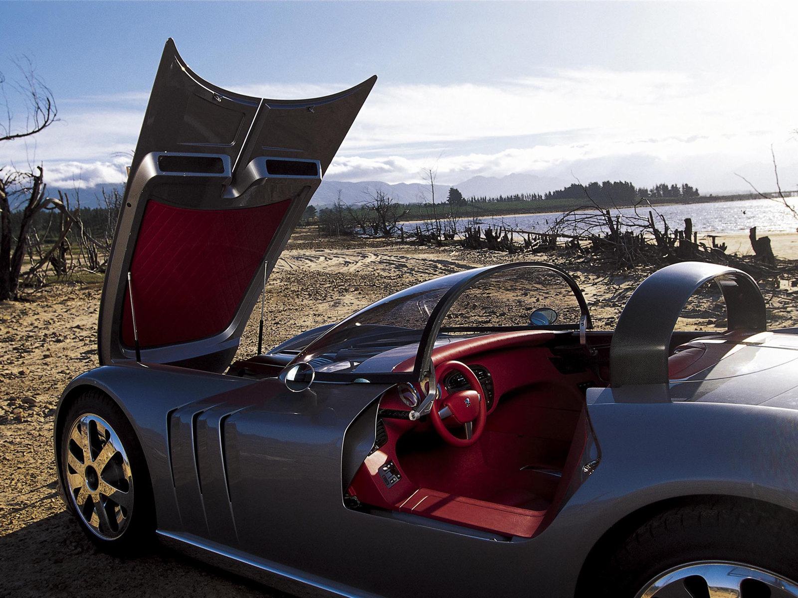 Peugeot 607 Feline Concept, 2000 - Interior