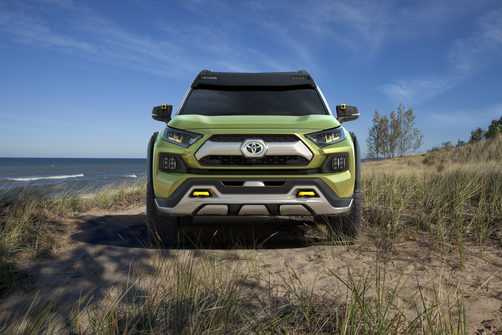 Toyota FT-AC Concept, 2017