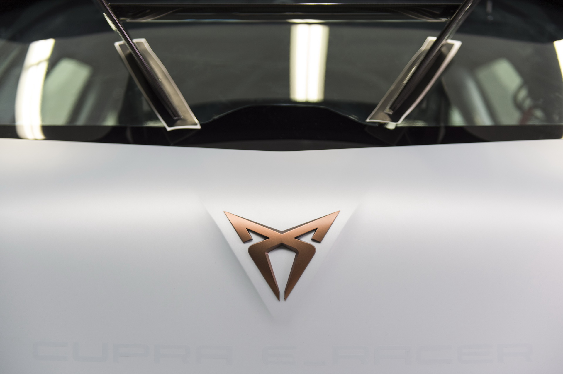 The courage, daring and determination of tribal civilisations inspire the design of the logo