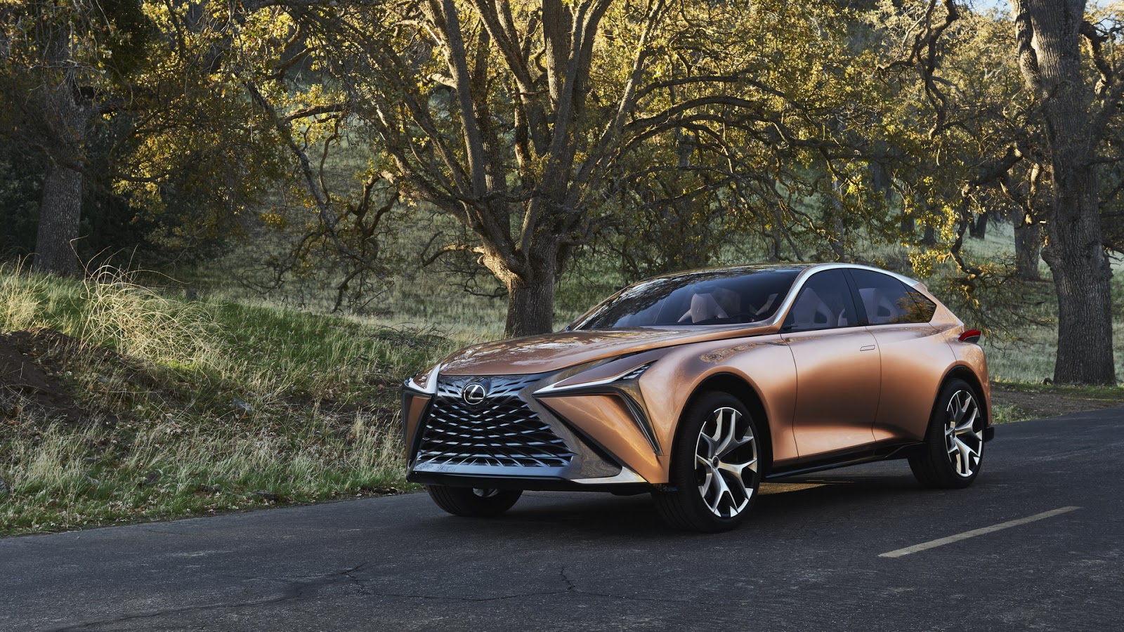 Lexus LF-1 Limitless Concept, 2018