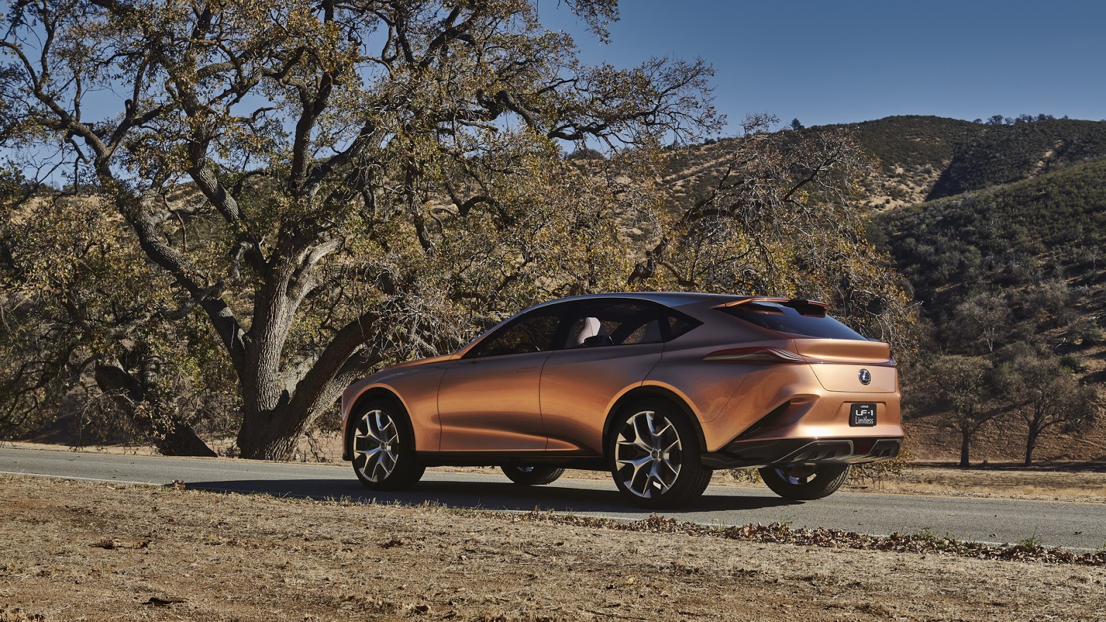 Lexus LF-1 Limitless Concept, 2018