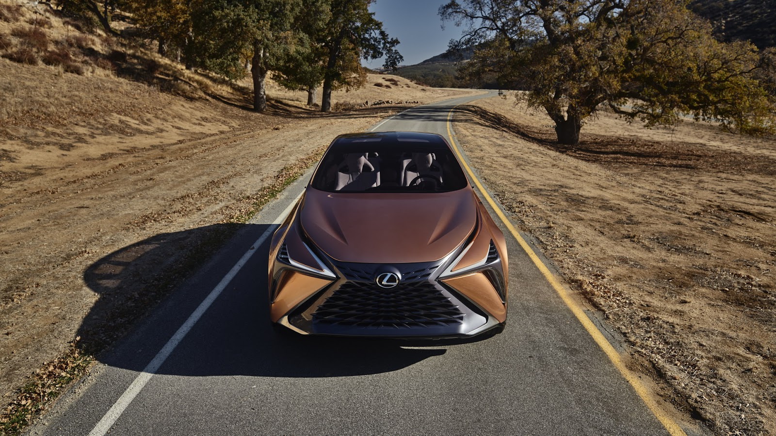 Lexus LF-1 Limitless Concept, 2018