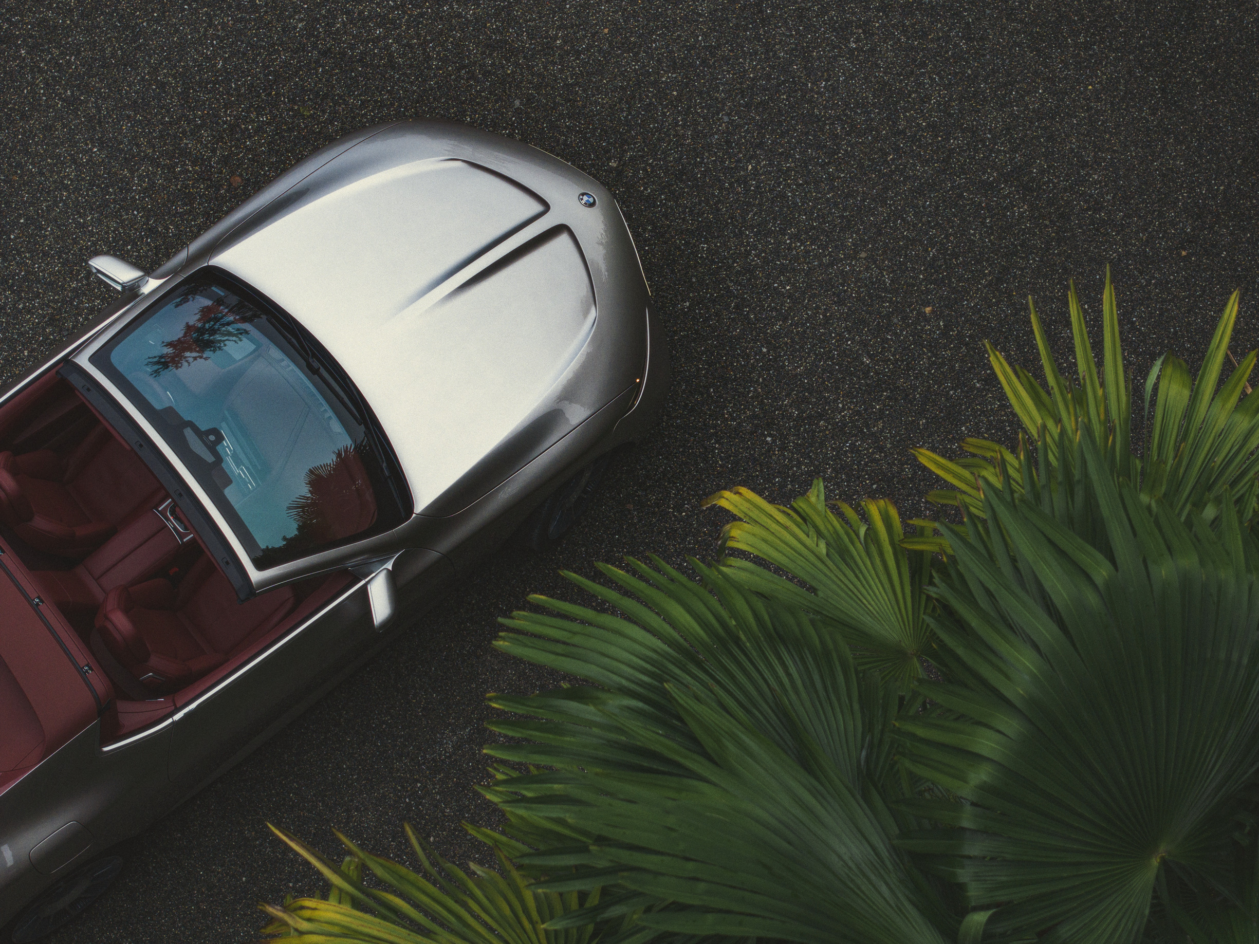 BMW Concept Skytop, 2024