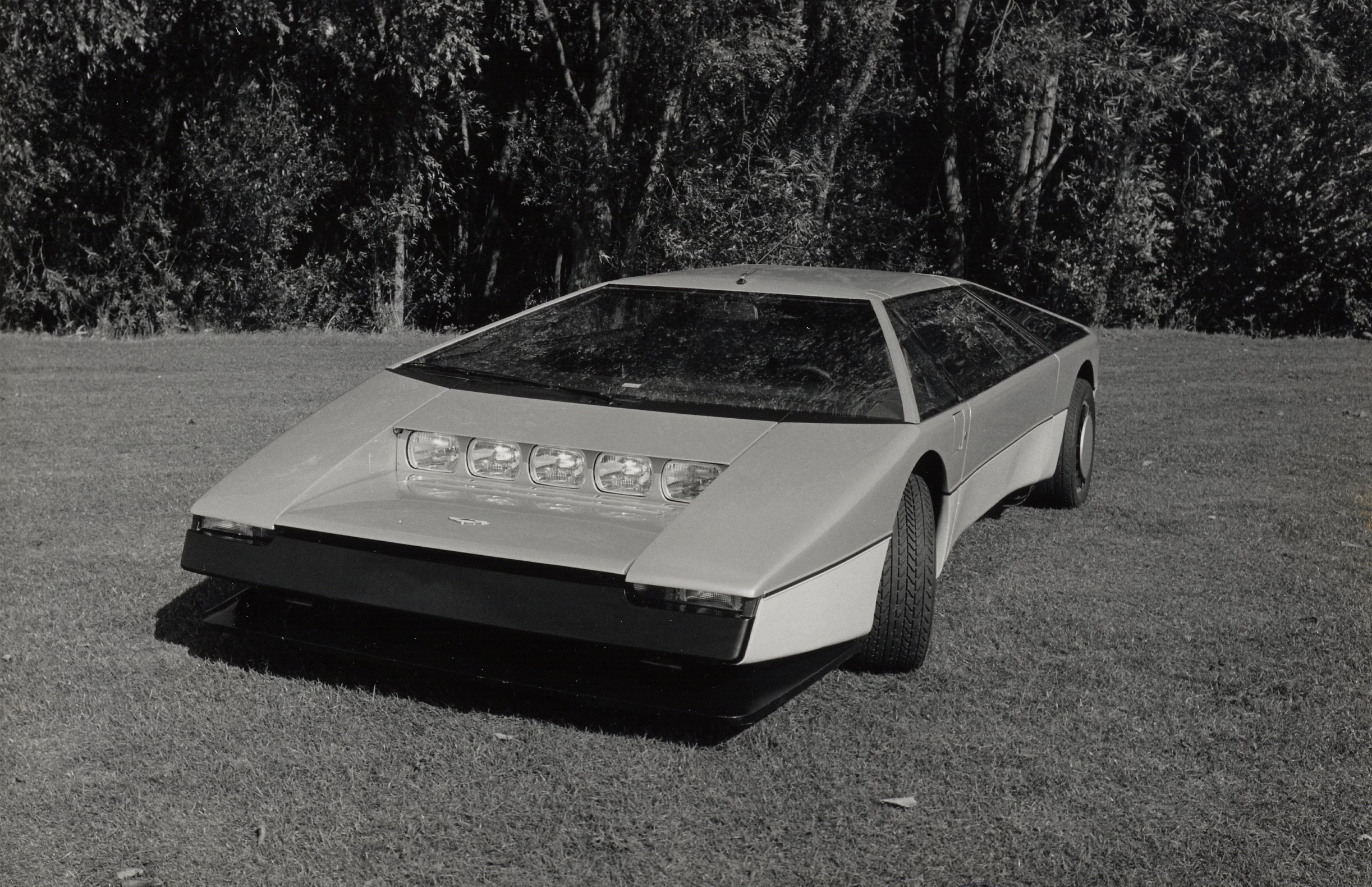 Aston Martin Bulldog, 1980