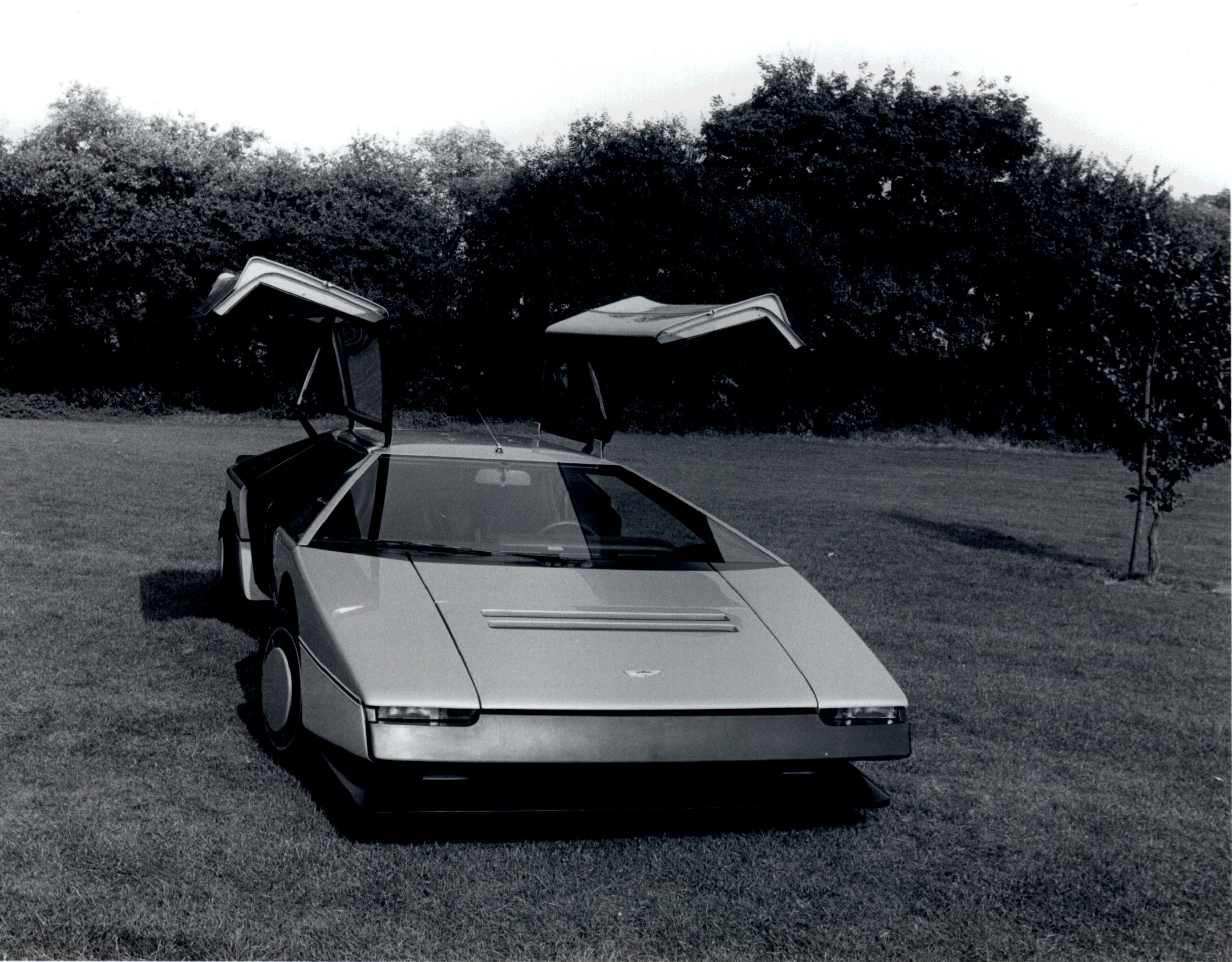 Aston Martin Bulldog, 1980
