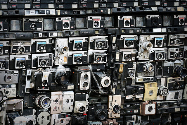 Camera Van: Внимание, сейчас вылетят птички!