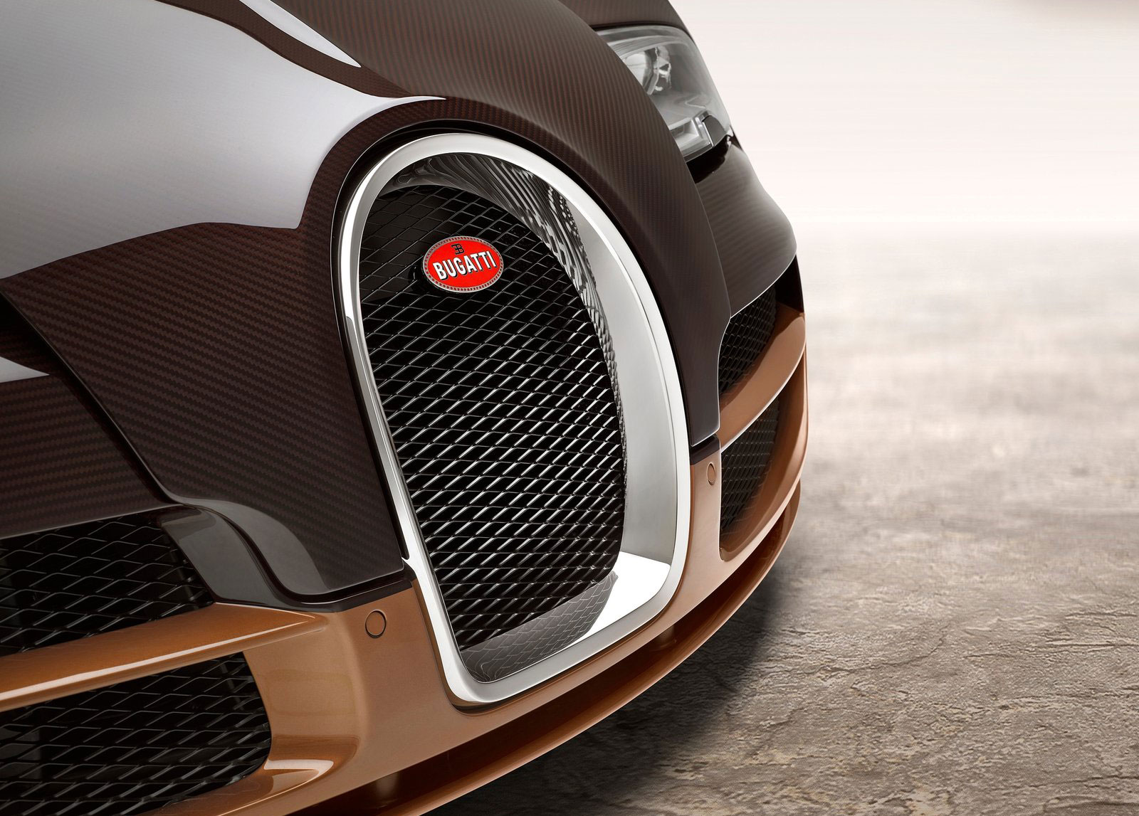 Bugatti Veyron 'Rembrandt Bugatti' (2014) - Horseshoe