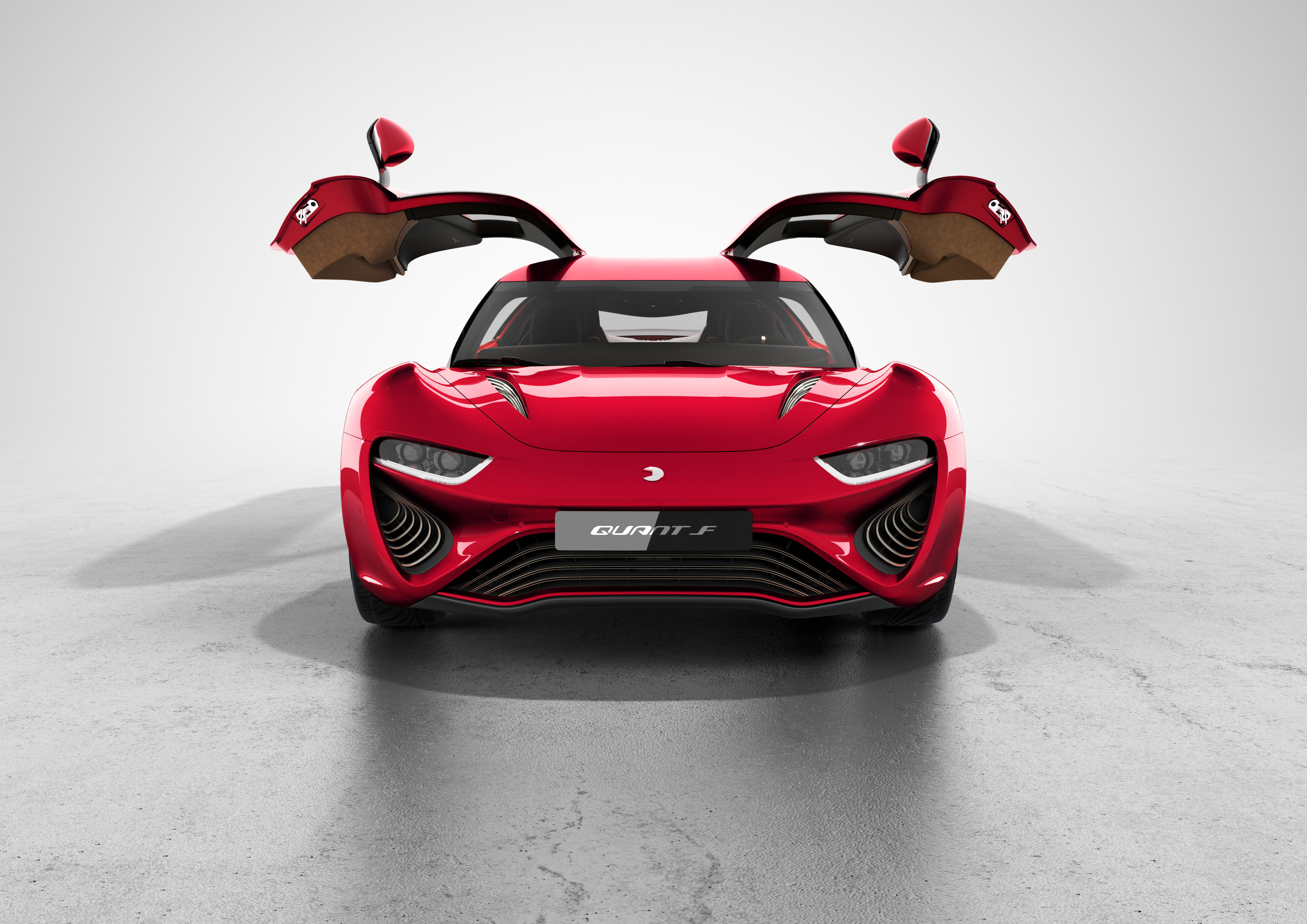 nanoFlowcell QUANT F (2015)