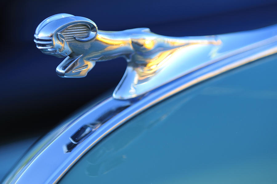 1940 Dodge - Ram Hood Ornament - Photo: Jill Reger